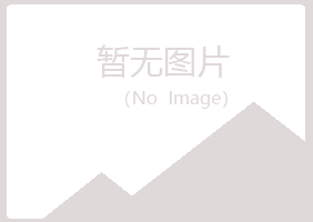 锦屏县海莲能源有限公司